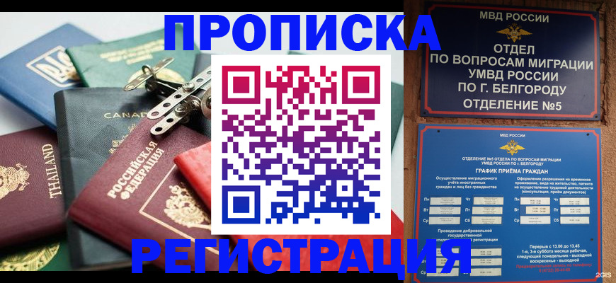 временная регистрация недорого в Невельске